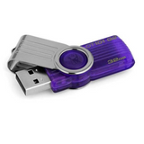 Kingston 32 GB DataTraveler 101 USB 2.0 Flash Drive